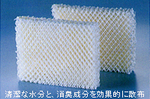 Apice09tB^[.jpg